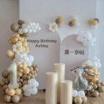 Birthday Party Decoration